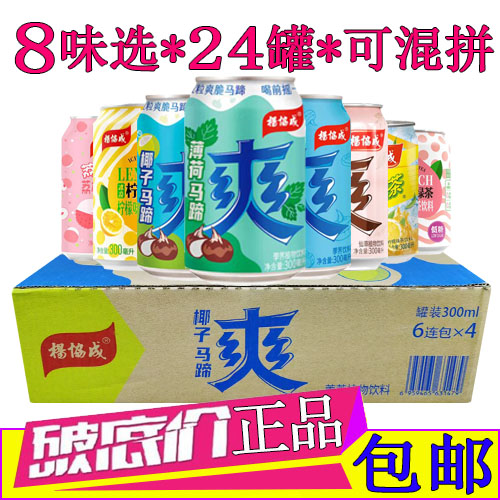 杨协成薄荷马蹄爽饮料24罐装300
