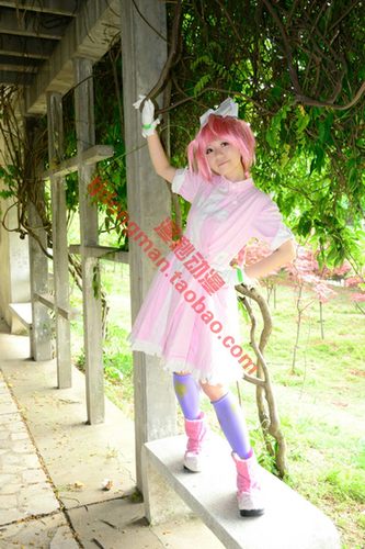 护士装cos多少钱 护士装cos价格 小麦优选