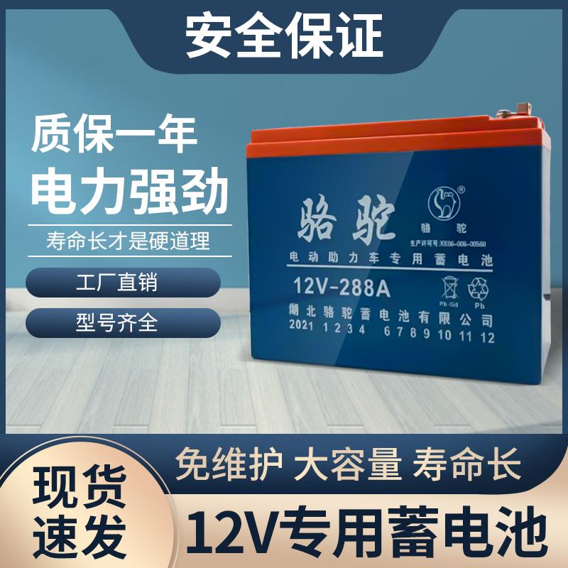 12v骆驼电瓶免维护干电池夜市36ah60ah蓄电池摆摊音响12v铅酸电池 户外/登山/野营/旅行用品 电池/燃料 原图主图