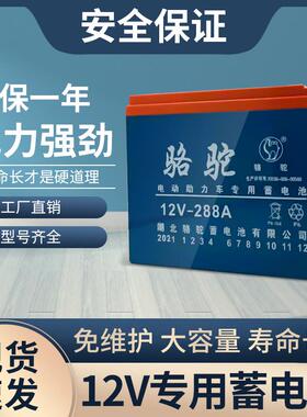 12v骆驼电瓶免维护干电池夜市36ah60ah蓄电池摆摊音响12v铅酸电池