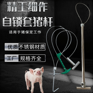 猪用保定器金属套猪器拉猪绳套猪捕猪兽用打针套猪嘴器抓猪神器