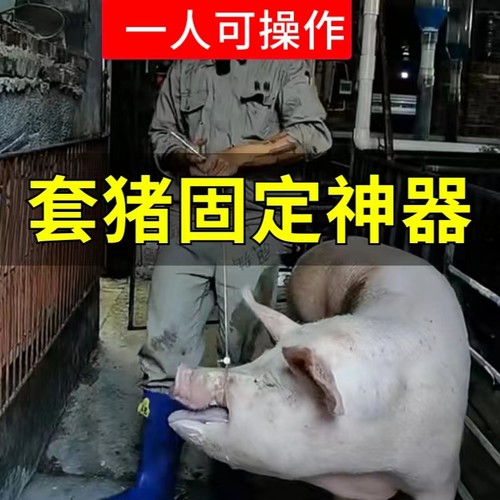 套猪器猪保定器兽用打针套猪嘴器