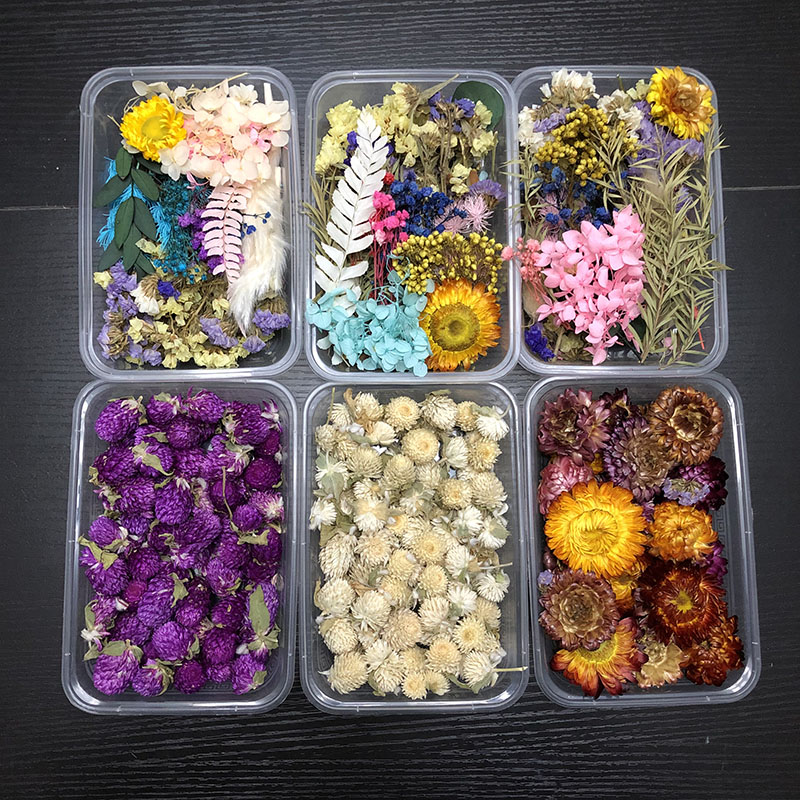 幼儿园装饰森系永生干花diy