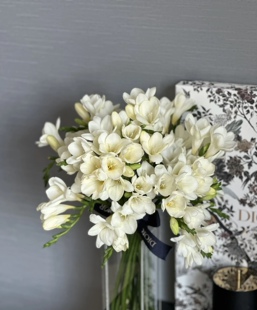 香雪兰 小苍兰鲜切枝鲜花