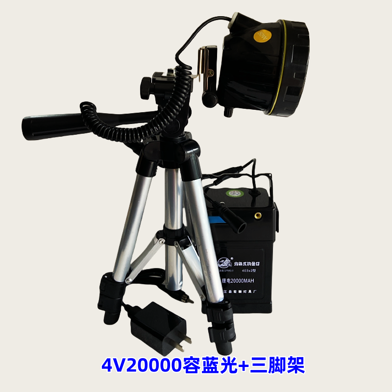 鸿顺锂电池100W强光无极调光灯头分体式蓝光黄光紫光照蝎子夜钓灯