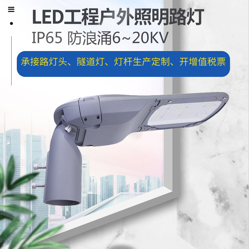 LED外贸工程款可调角度路灯头压