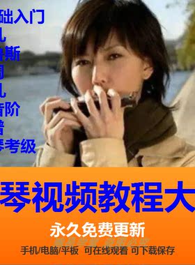 口琴自学视频培训教程10孔布鲁斯24孔半音阶教学零基础入门共38G