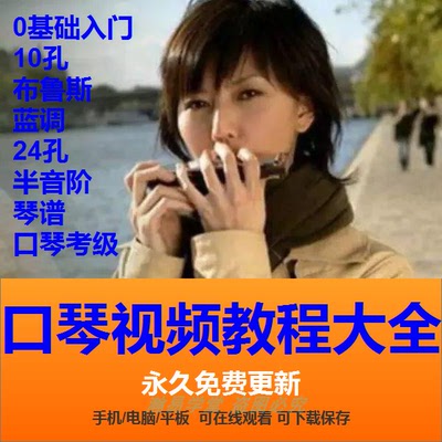 口琴自学视频培训教程10孔布鲁斯24孔半音阶教学零基础入门共38G