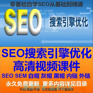 SEO搜索引擎优化视频教程 关键词收录竞价排名白帽零基础自学课程