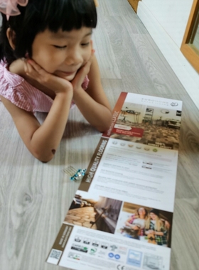 环保高德国原装进口强化复合地板E0级Krono集团LUXFLOOR 适合地暖