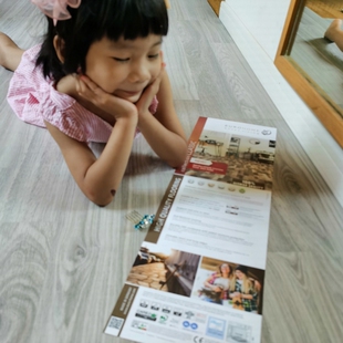 环保高德国原装进口强化复合地板E0级Krono集团LUXFLOOR 适合地暖