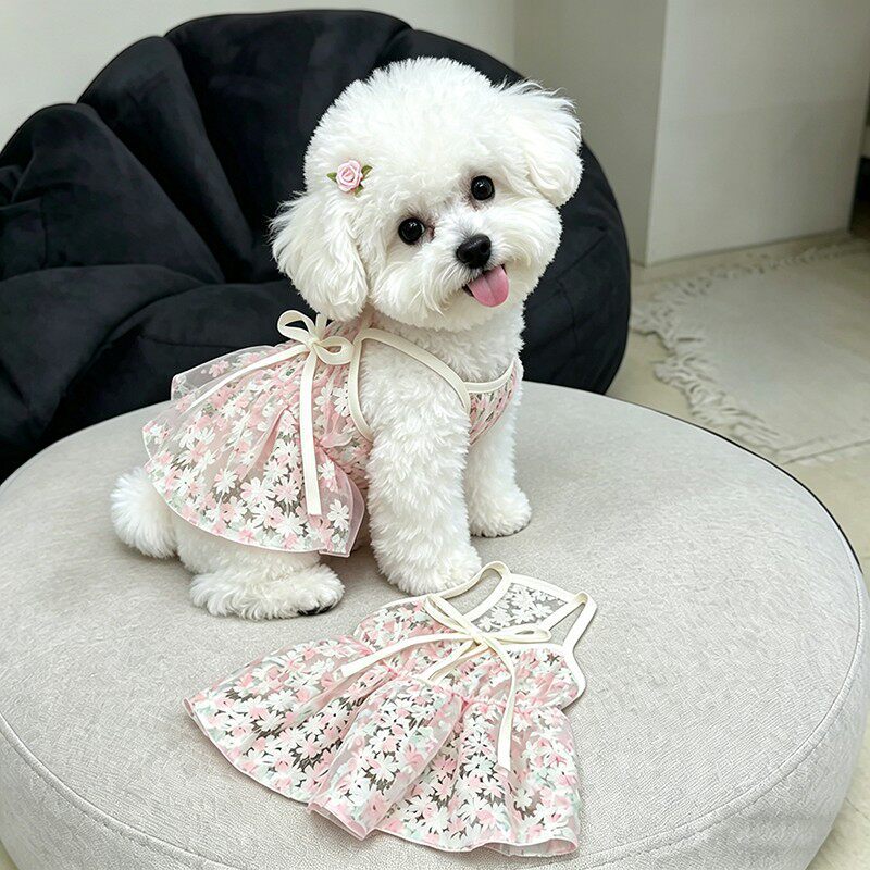 比熊狗狗衣服樱花公主裙吊带裙子猫咪防掉毛中小型幼犬泰迪约克夏