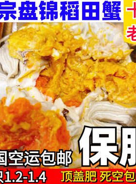 正宗盘锦稻田蟹顺丰包邮
