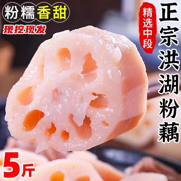 湖北洪湖粉藕煲汤新鲜莲藕农家自种九孔糯米藕现挖特产蔬菜