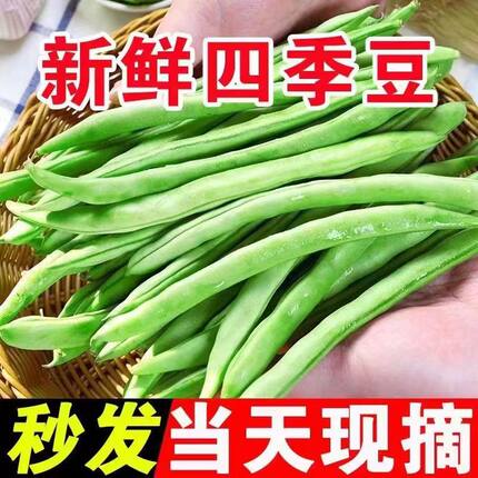 农家自种四季豆新鲜芸豆菜豆干煸嫩四季豆应季时令蔬菜无筋豆角