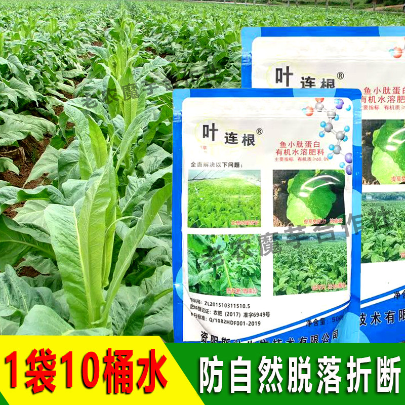 叶连根 长好烟 壮烟宝 烤烟专用 叶片拉长增厚 生根壮苗 防病抗病