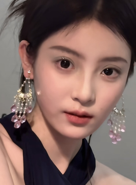 法式轻奢粉紫色水滴流苏耳环高级感精致锆石闪钻耳坠晚宴气质耳饰