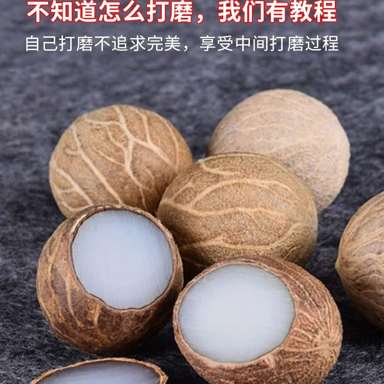 菩提根原籽 菩提散珠按斤卖 白菩提