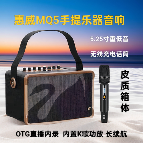 惠威户外手提声卡K歌一体大音量