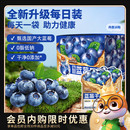 三只松鼠_每日蓝莓干大颗果干果脯儿童零食 会员内购会