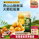 三只松鼠油栗仁25g 袋即食去壳新鲜燕山产板栗仁坚果休闲健康零食