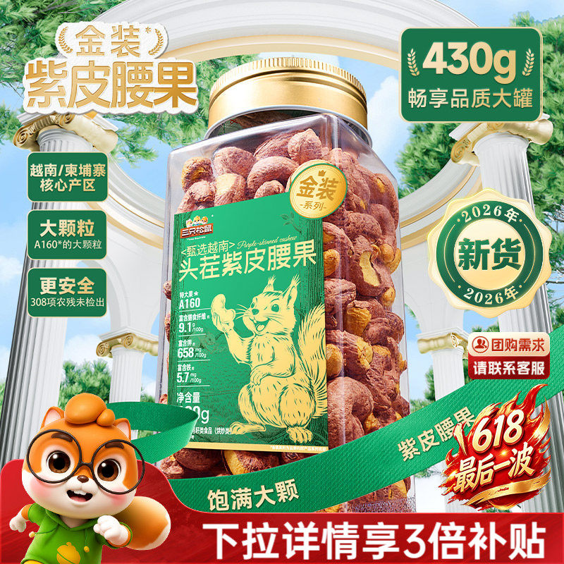 三只松鼠金装越南紫皮腰果430g罐装坚果腰果2026新货休闲健康零食