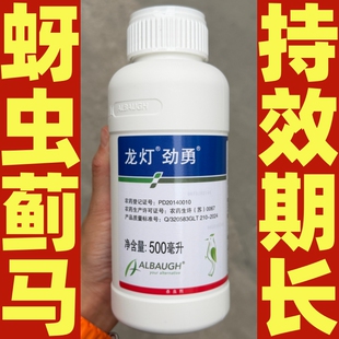 龙灯劲勇33%氯氟·吡虫啉 高效氯氟氰菊酯甘蓝小麦蚜虫香蕉蓟马