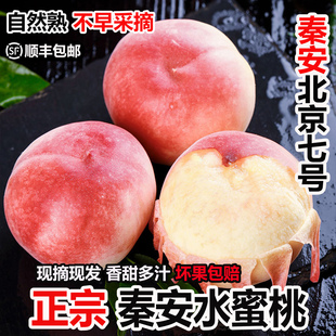 正宗秦安蜜桃北京7号水蜜桃孕妇新鲜水果香甜桃子现摘天水顺丰