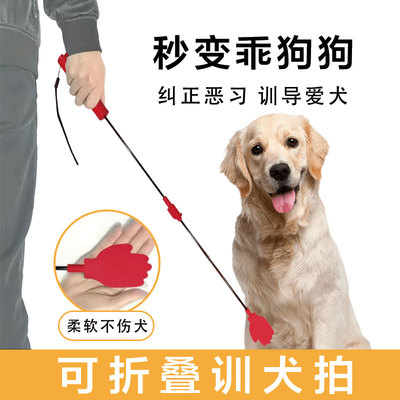 宠物训犬拍可折叠易收纳狗狗训练
