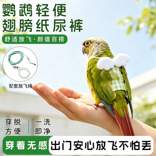 鹦鹉尿不湿放飞服告别乱拉屎兜