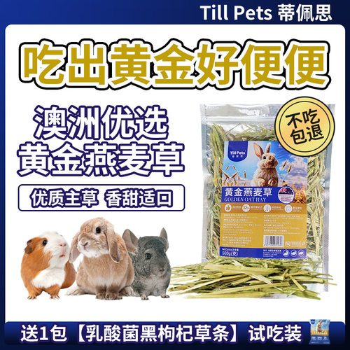 拉出黄金大便便澳洲黄金燕麦草
