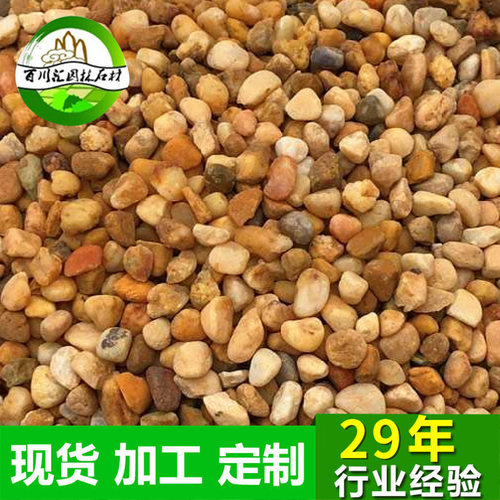 厂家批发 现货供应金黄色地坪石米 水磨石水洗彩色石米地面胶粘石