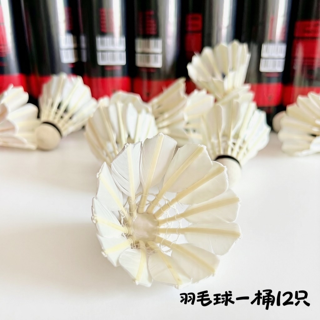 日常微光 Glimpse|精选优质鹅毛羽毛球一桶12只装陨落耐打不易烂