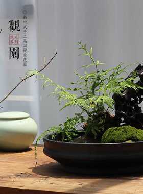 陶瓷黑色无孔盆栽假山水浅剑山新中式插花器皿陶瓷圆盘日式禅意盘