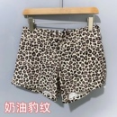 Amber外单 福音 女士平角泳裤 大码 有内衬 沙滩温泉冲浪 胖子