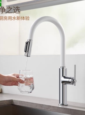 德国原单全铜厨房水龙头冷热家用抽拉式三合一龙头洗菜盆增压龙头