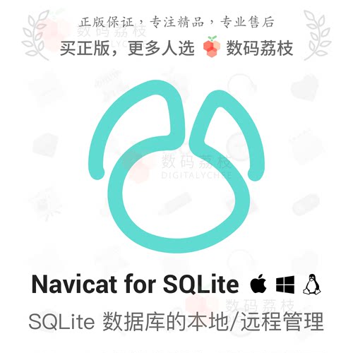 数码荔枝| Navicat for SQLite[Mac/Win]图形化开发工具