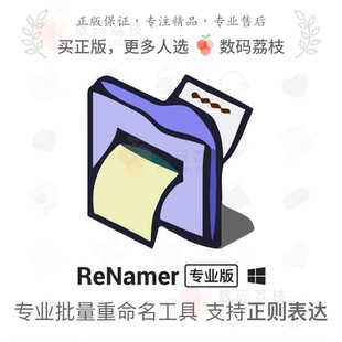 Win ReNamer 文件整理前后缀替换大小写序号批量重命名 荔枝 数码