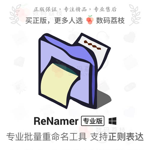 数码荔枝| ReNamer[Win]文件整理前后缀替换大小写序号批量重命名