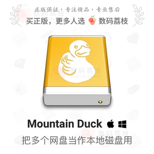 Duck Mountain Mac Win 文件同步 数码 多网盘挂载本地工具 荔枝