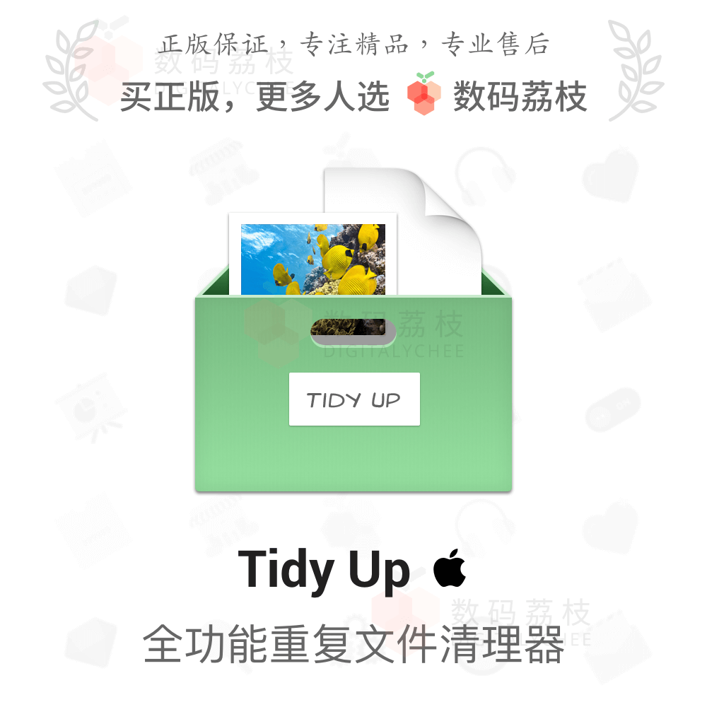 数码荔枝| Tidy Up[Mac]高速智能的重复文件搜寻清理工具属于什么档次？