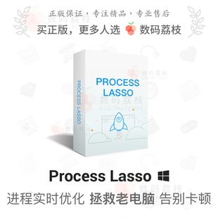 Lasso Pro 数码 优化系统process Process 专业版 lasso 荔枝