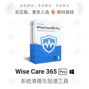 Care Wise 365 Pro wisecare365 数码 系统电脑清理加速软件 荔枝