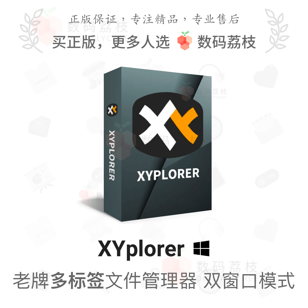 数码荔枝| XYplorer[Win]多标签文件任务资源管理器
