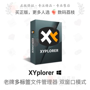 Win XYplorer 多标签文件任务资源管理器 荔枝 数码