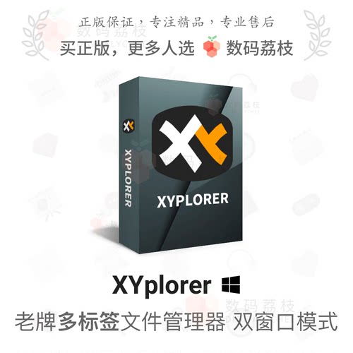 数码荔枝| XYplorer[Win]多标签文件任务资源管理器