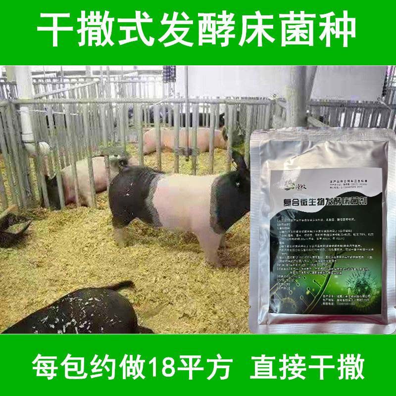 干撒式阳台养殖发酵床菌种芦丁鸡猪牛粪便除臭专用复合菌粉