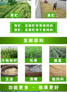 玉米糠饲料发酵剂豆粕酒糟泔水豆渣养殖喂鸡养猪牛羊用 em 菌粉