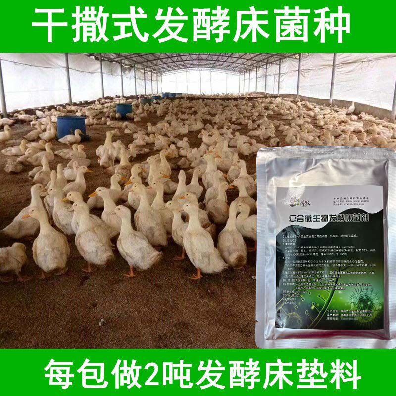 发酵床菌种 EM 菌剂阳台养鸡鸭鹅猪牛羊蛇粪便分解免激活菌剂