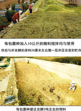 发酵床菌种养鸡猪牛羊养殖芦丁鸡专用鸡舍移异位干撒发酵床